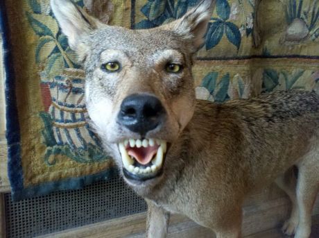 Wikimedia Commons CC-BY-SA